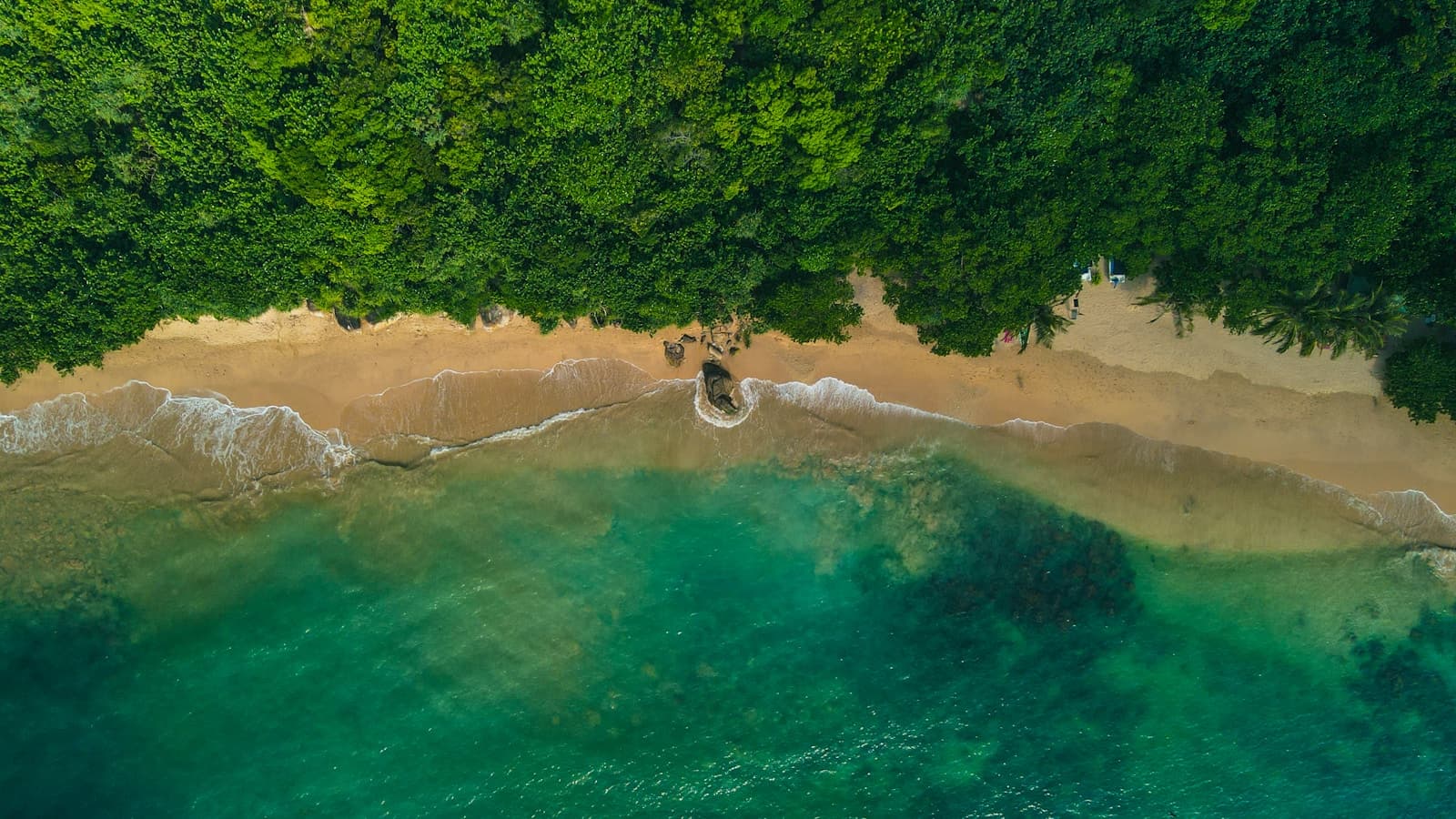 São Tomé 8 Dias